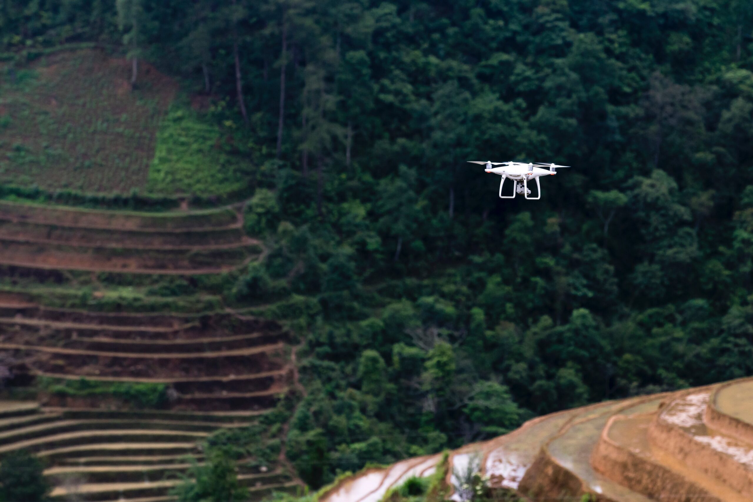 la inteligencia artificial mejora los rendimientos agrícolas